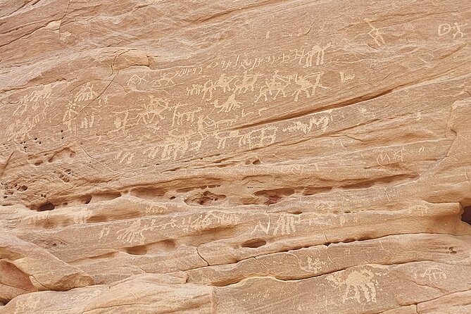 Private Full Day Sinai Desert Adventures - Additional Information