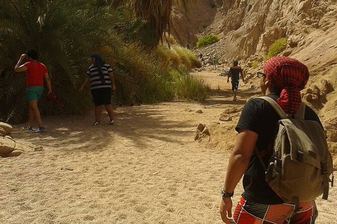 Private Full Day Snorkeling, Quad Biking in Dahab From Sharm El Sheikh - Meeting and Pickup Details