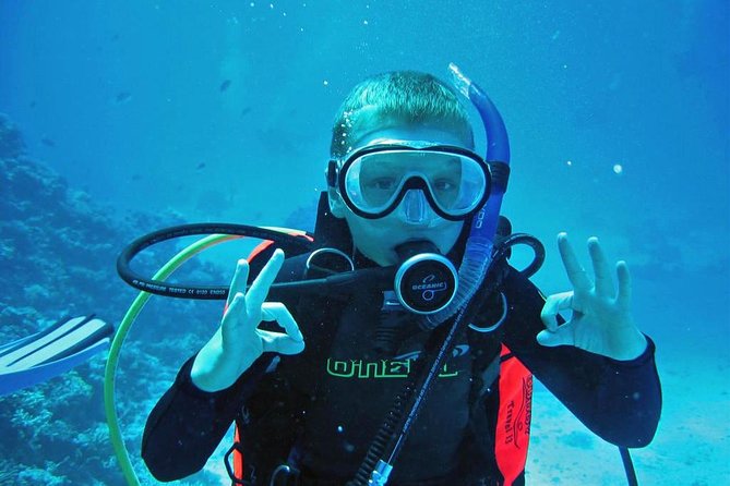 Private Full-Day Snorkeling Tour to Utopia Island From Luxor - Good To Know