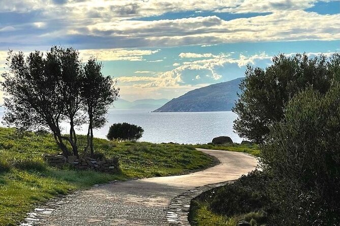 Private Full-Day Sounio Coastline Tour Attica Sunset - Highlights