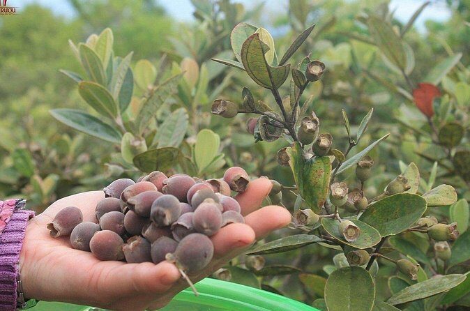 Private Full Day Southern Phu Quoc Island Tour - Who Will Love This Tour?