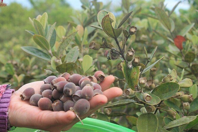 Private Full Day Southern Phu Quoc Island Tour - FAQs