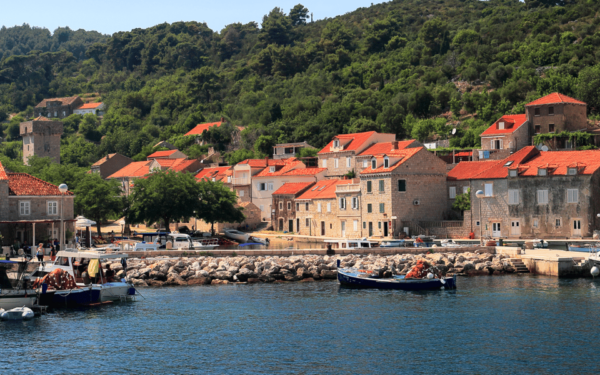 Private Full Day Speed Boat Tour to Elaphiti Islands - Included Services