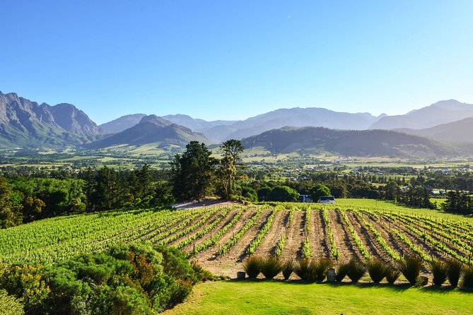 Private Full-Day Stellenbosch Wine Tour - Tour Highlights