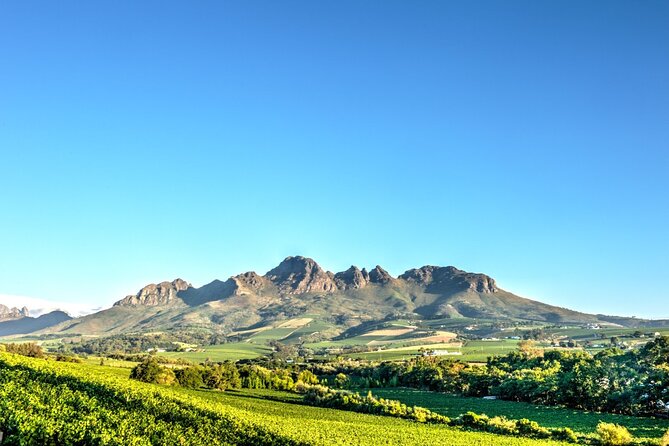 Private Full-Day Stellenbosch Wine Tour - Itinerary Overview