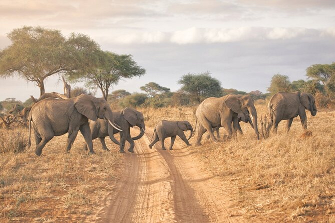 Private Full-Day Tarangire National Park Tour From Arusha - Inclusions