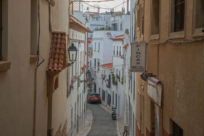 Private Full-Day Tarragona and Sitges - Private Tour Inclusions