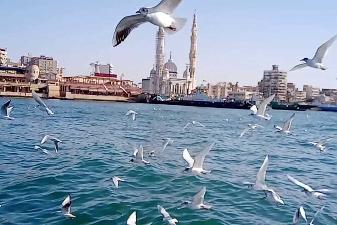 Private Full Day to Port Said Tour From Cairo - Logistics