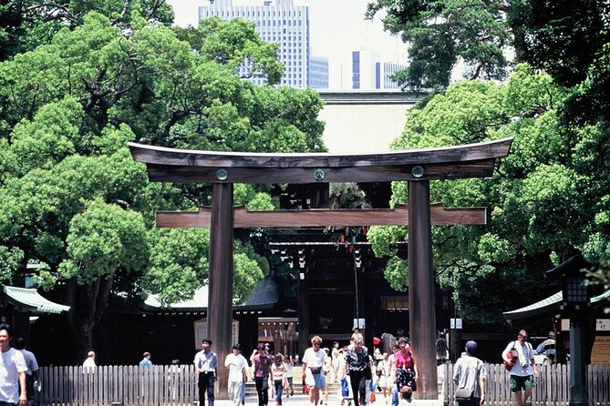 Private Full-day Tokyo Walking Subway Tour by Japan Gray Line - Inclusions and Exclusions