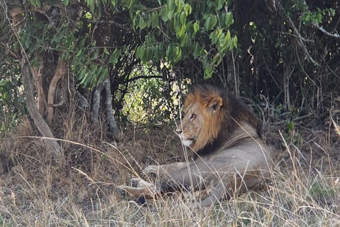 Private Full-Day Tour Akagera Game Drive - Expert Guided Experience
