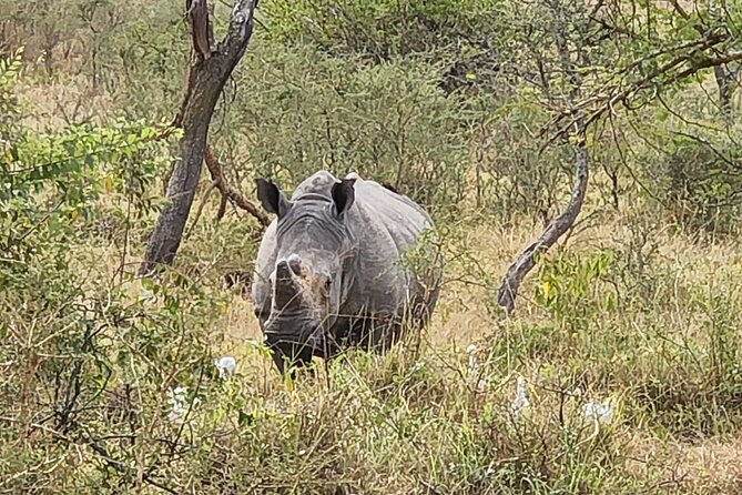 Private Full-Day Tour Akagera Game Drive - Booking Information