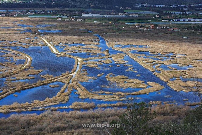 Private Full Day Tour Athens & Marathon (Battle Tomb, Museum,Dum) - Pricing and Booking Information