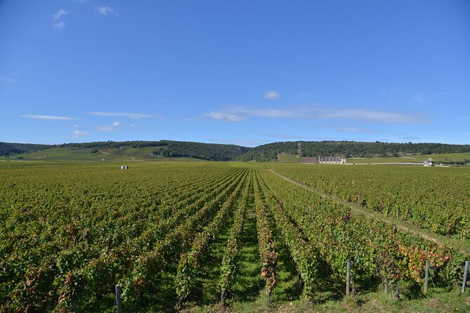 Private Full Day Tour Burgundy Gourmet - Best Price Guarantee