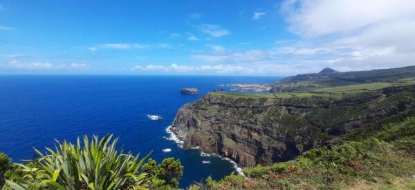 Private Full Day Tour by SUV - All Island With Lunch - Vehicle and Amenities