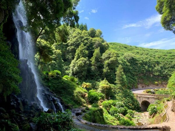 Private Full Day Tour by SUV - All Island With Lunch - Frequently Asked Questions