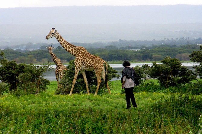 Private Full-Day Tour: Crater Lake Game Sanctuary - Reviews and Ratings