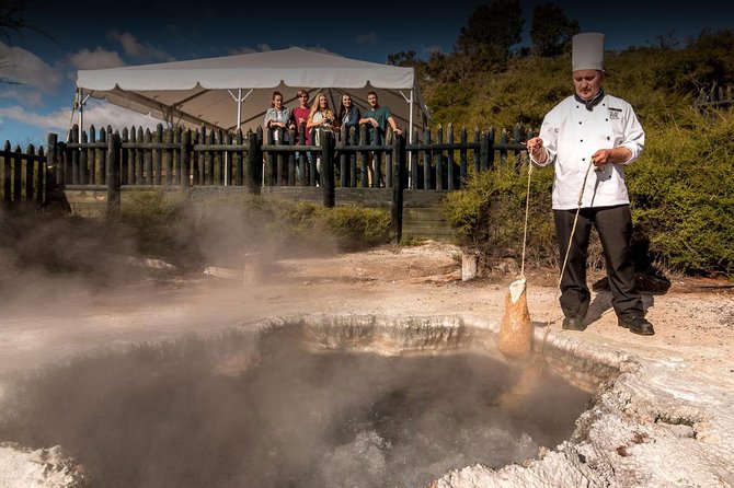 Private Full-Day Tour From Auckland to Rotorua and Waitomo - Reviews and Support