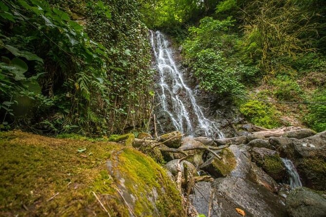Private Full Day Tour From Batumi to Waterfalls - Frequently Asked Questions