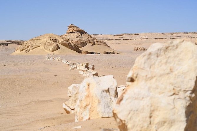 Private Full-Day Tour From Cairo to Wadi - Al Rayan & Al Fayoum Oasis - Tour Highlights