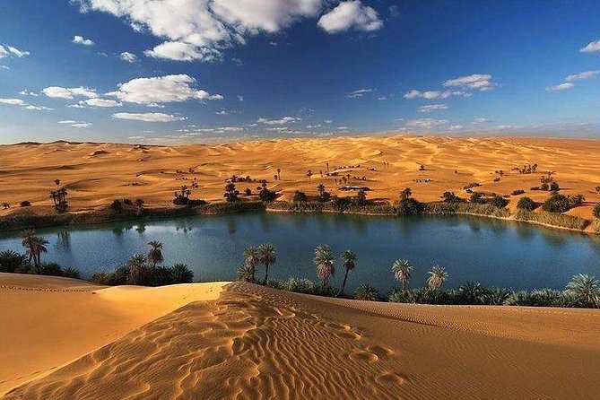 Private Full-Day Tour From Cairo to Wadi - Al Rayan & Al Fayoum Oasis - Itinerary Overview