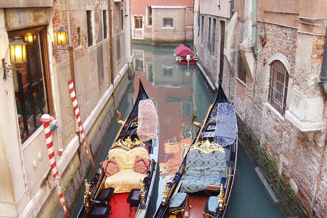 Private Full Day Tour From Milan to Venice With Local Tour Guide and Fast Train - Local Guide Experience
