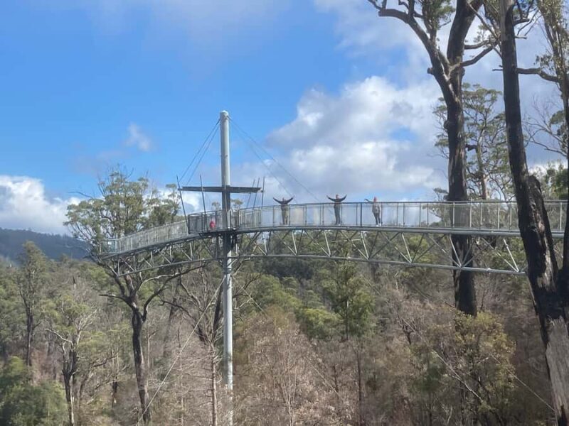 Private Full Day Tour - Huon Valley and Cygnet - The Value of a Private, Custom-Tailored Tour  