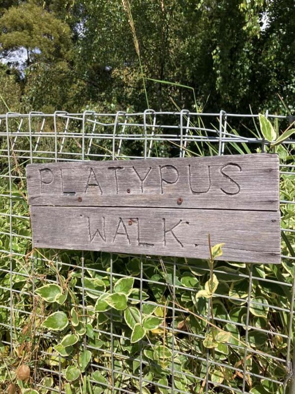 Private Full Day Tour - Huon Valley and Cygnet - Final Thoughts: Is It Worth It?  