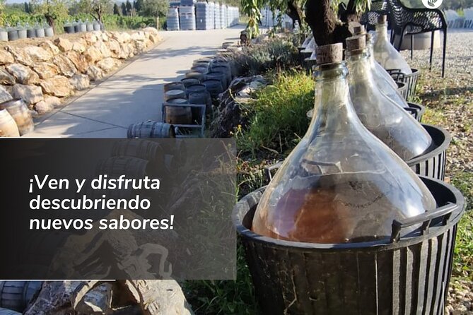 Private Full Day Tour in Alt Empordà With Wine Tasting - Local Guide and Transportation