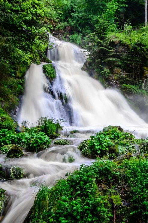 Private Full Day Tour in Baden's Black Forest - Key Points