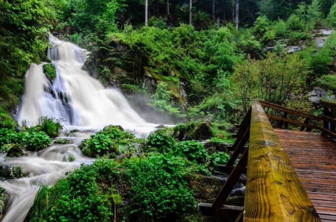 Private Full Day Tour in Baden's Black Forest - Cultural Attractions