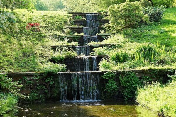 Private Full Day Tour in Baden's Black Forest - Inclusions and Benefits
