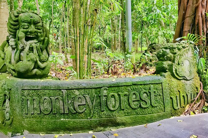 Private Full-Day Tour in Bali & FREE WIFI - Duration and Pickup