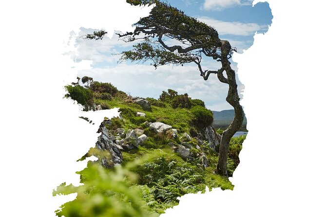 Private Full Day Tour in Connemara With Pickup - Tour Overview