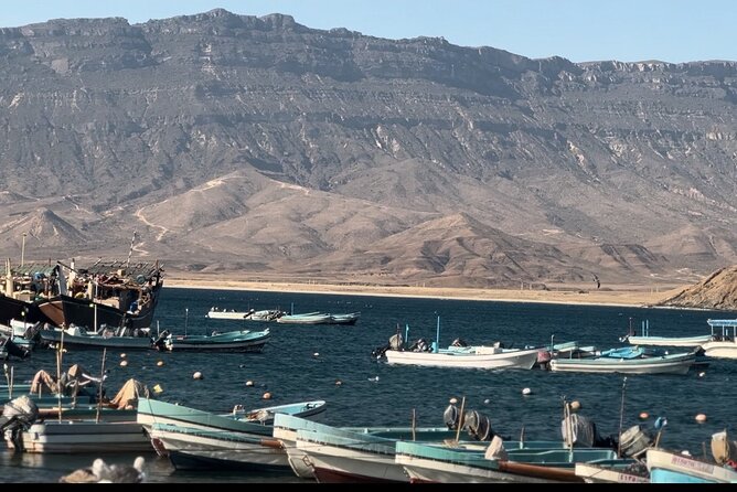Private Full Day Tour in East Salalah - Frequently Asked Questions
