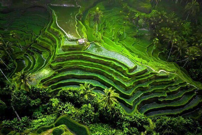 Private Full Day Tour in Enchantment of Ubud - Good To Know