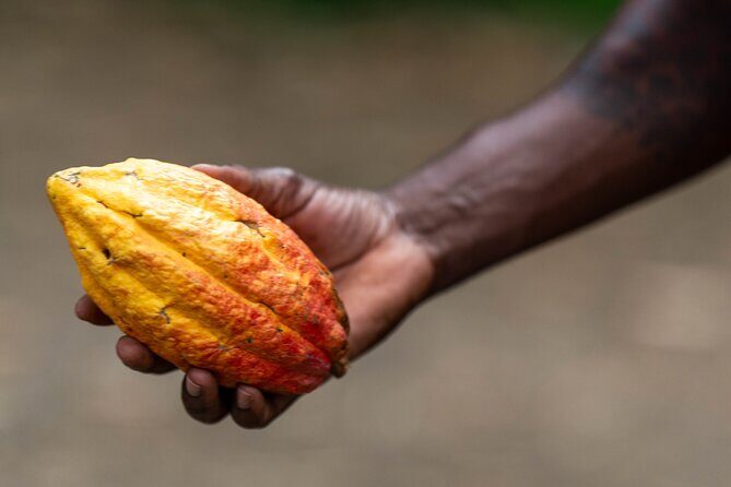 Private Full-day Tour in Grenada with Pickup - Final Thoughts