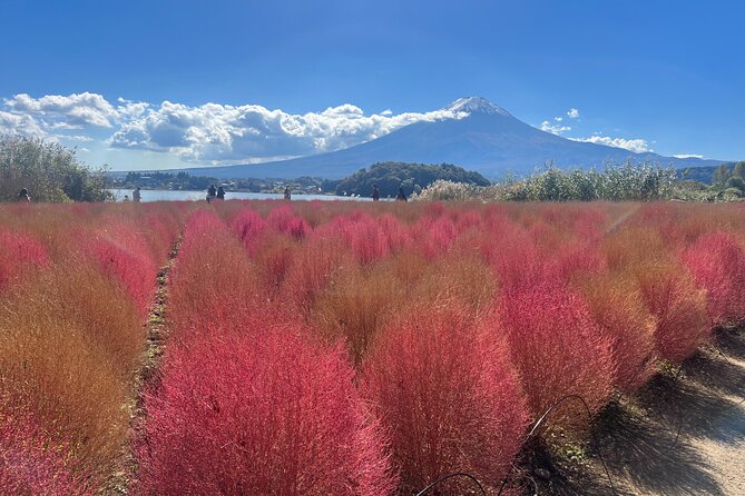 Private Full Day Tour in Mt. Fuji With Pickup - Cancellation Policy
