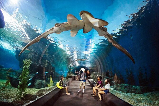 Private Full Day Tour in Pattaya DT3 - Group Size and Pricing