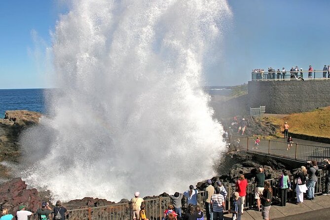 Private Full-Day Tour in Sydney - Itinerary for the Private Tour