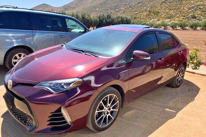 Private Full Day Tour in Valle de Guadalupe - Final Thoughts