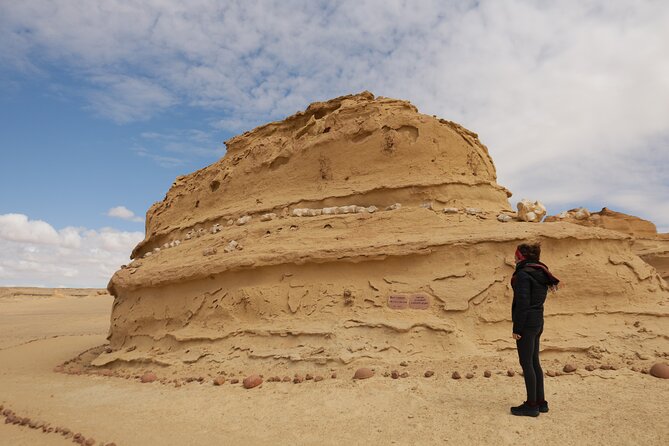 Private Full Day Tour in Wadi El Rayan and Wadi El Hiten - Tour Overview