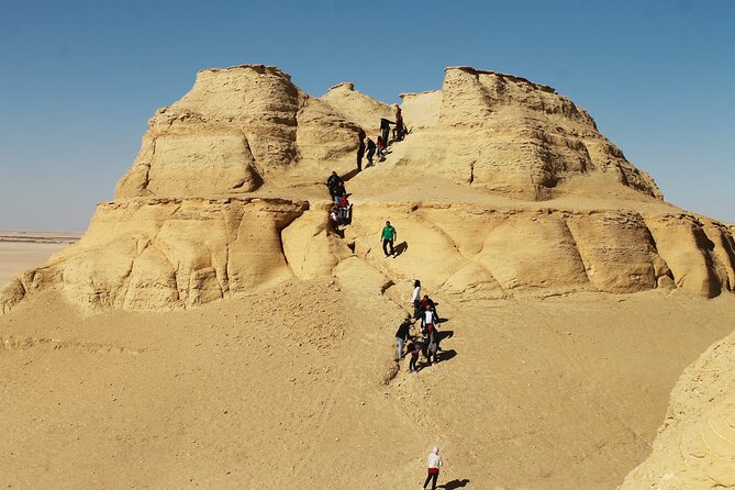 Private Full Day Tour in Wadi El Rayan and Wadi El Hiten - Price and Cancellation Policy