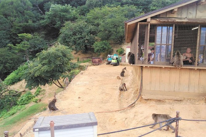 Private Full-Day Tour: Kyoto's Arashiyama and Kinkakuji Temple - Cancellation Policy