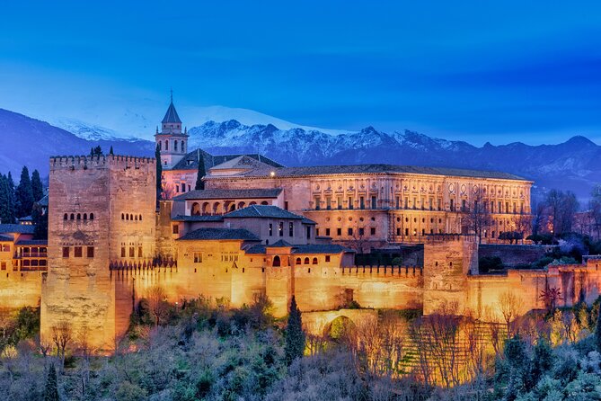 Private Full-Day Tour La Alhambra From Cadiz Pick up and Drop off - Transportation Options