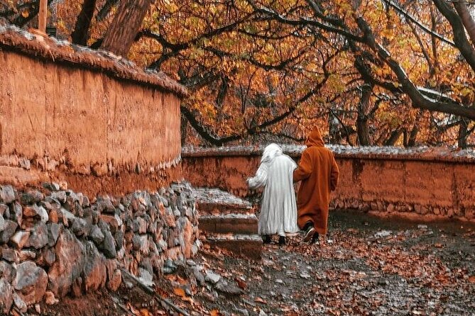 Private Full-Day Tour of Agafay Desert and Atlas Mountains - Customer Reviews