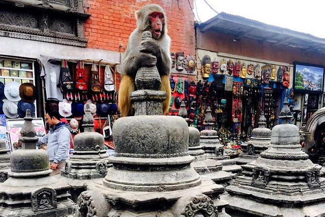 Private Full-Day Tour of Buddhist Temples in Kathmandu - Tour Highlights