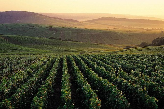 Private Full-Day Tour of Champagne Region - Tour Details