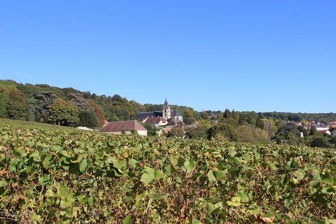 Private Full-Day Tour of Champagne Region - Reviews