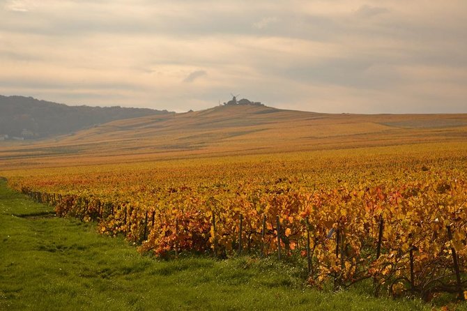 Private Full-Day Tour of Champagne Region - Questions and Assistance