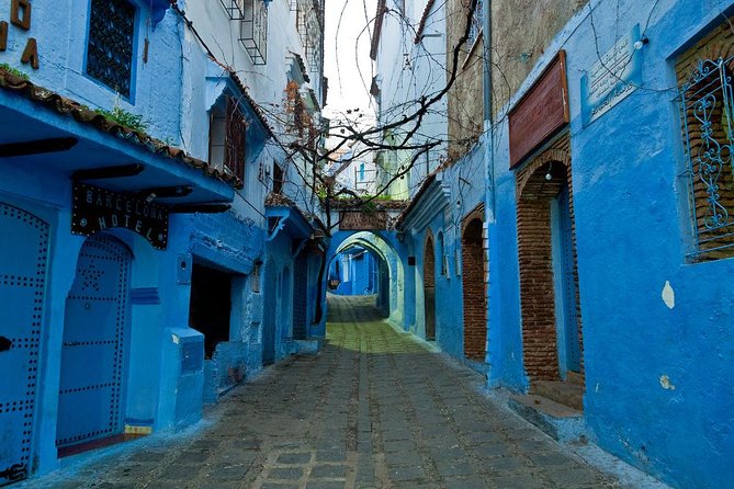 Private Full Day Tour of Chefchaouen From Malaga - Transportation and Logistics